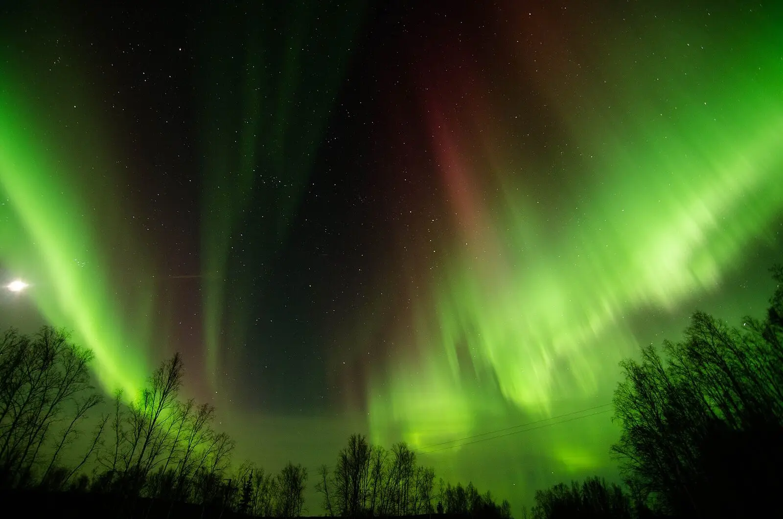 How to Photograph the Northern Lights With a Phone or Camera (Settings Guide)