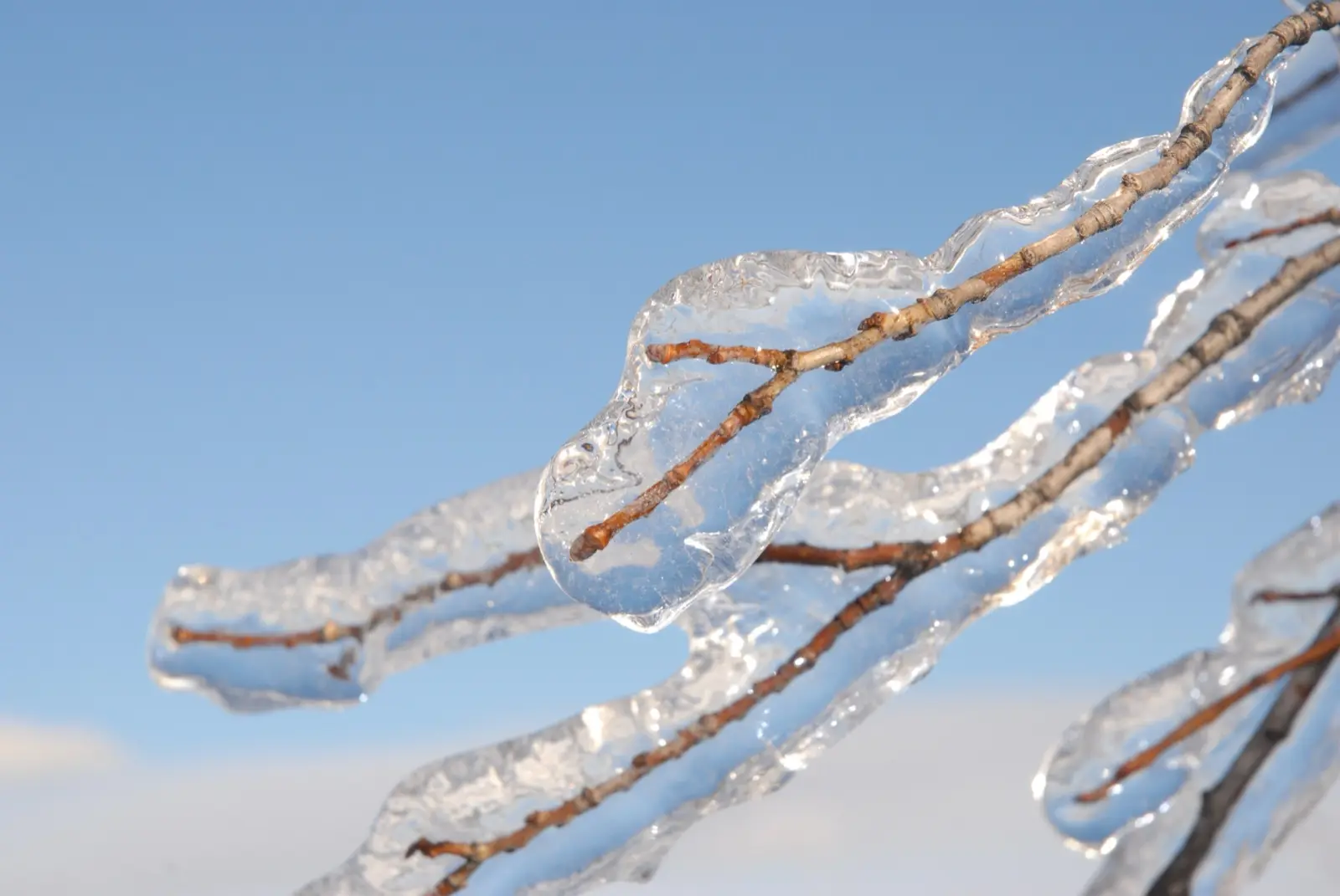 Freezing Rain vs. Sleet vs. Snow: How Ice Storms Form and Why They Are So Dangerous