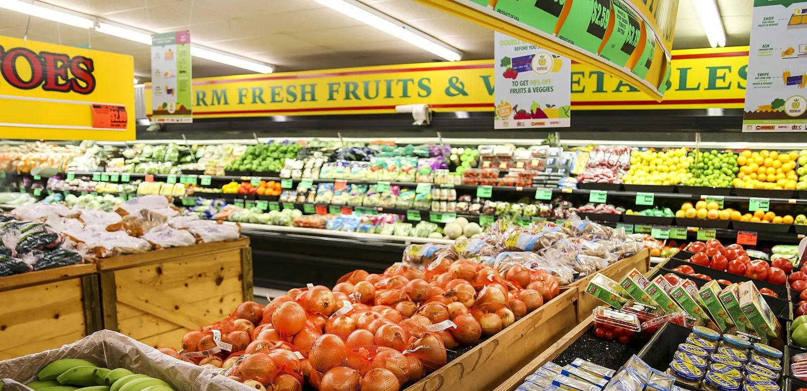 Todd's Seeds recalls Alfalfa Sprouting Seeds and 5 more products over Salmonella and E. coli contamination