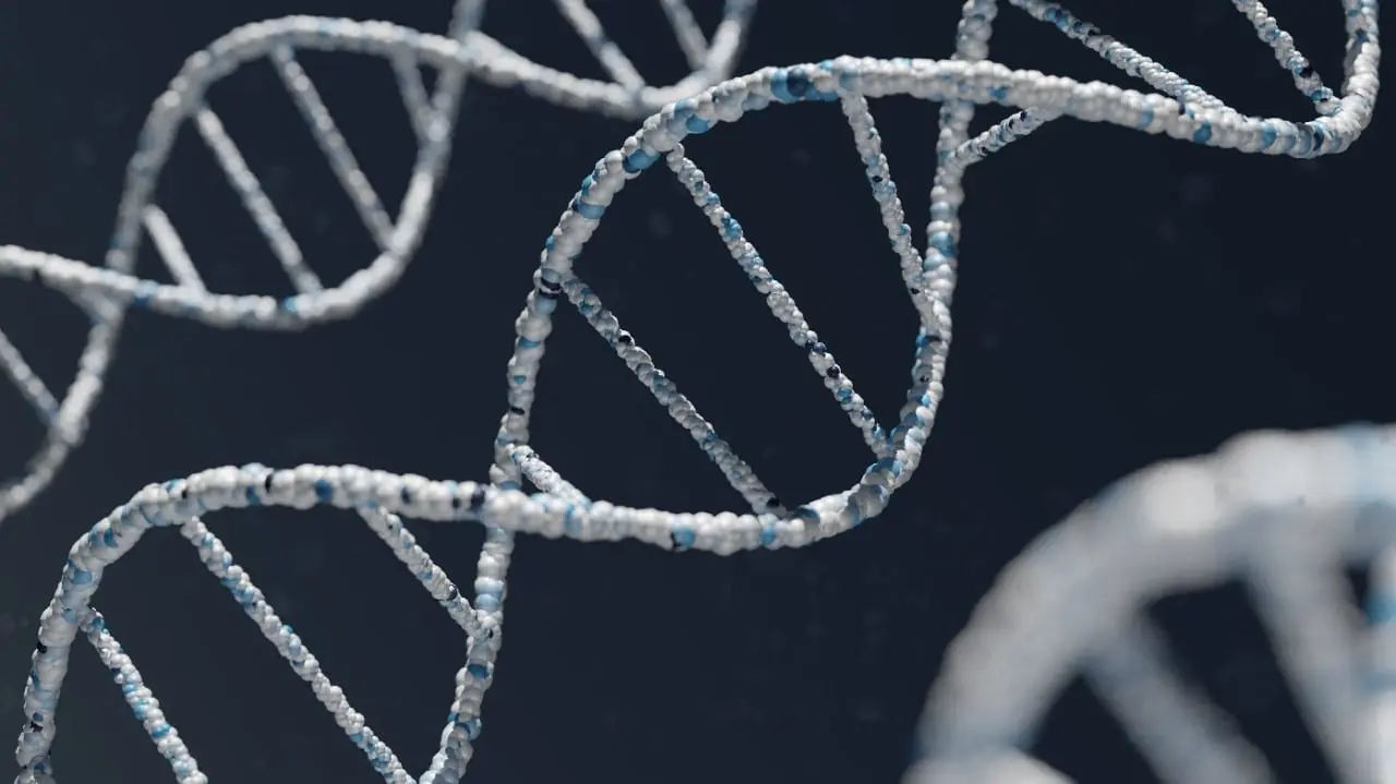 Y Chromosome Disappearing: Will Men Go Extinct?