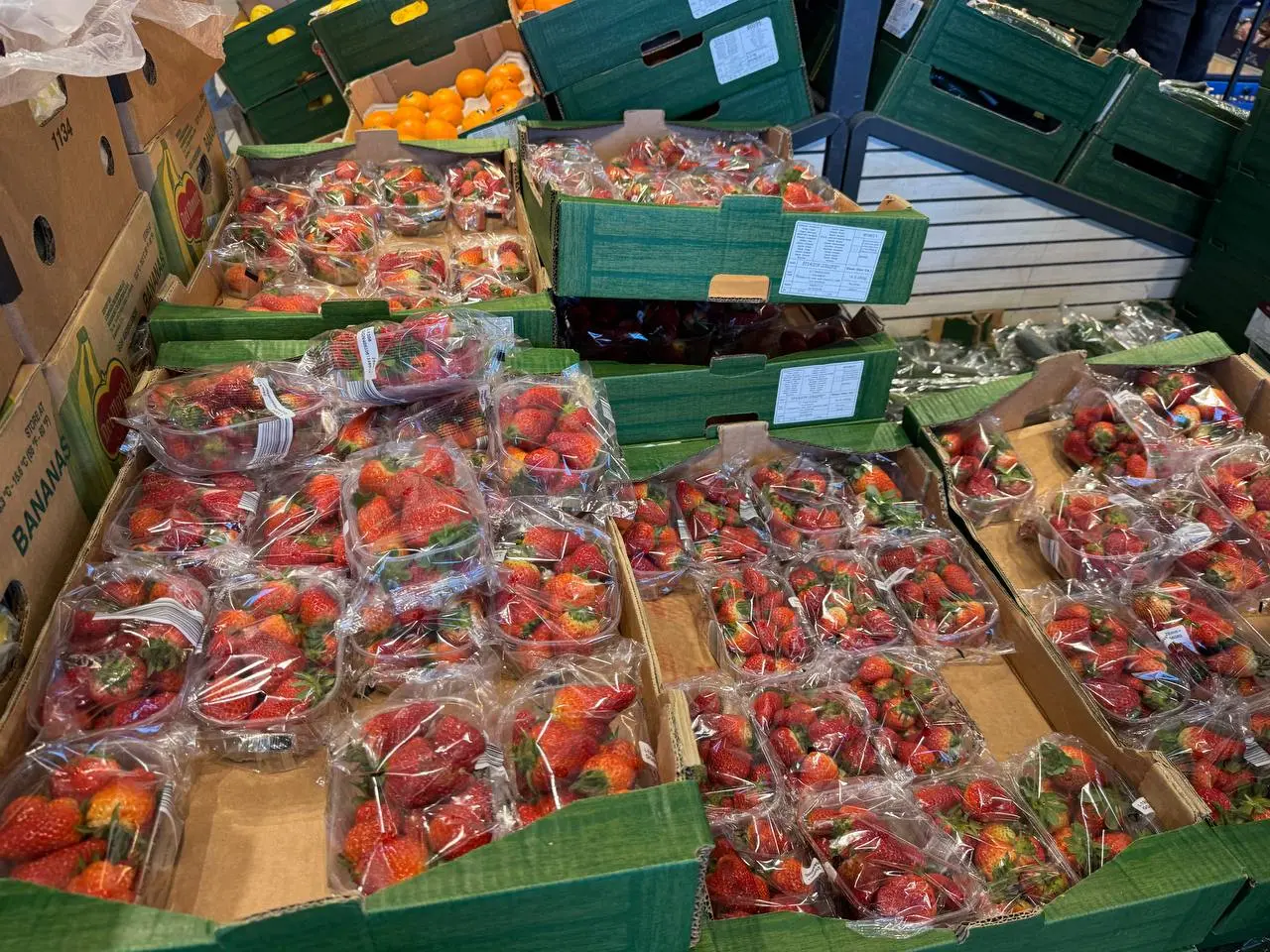 Keep Strawberries Fresh Longer: A Simple Trick to Stop Mold