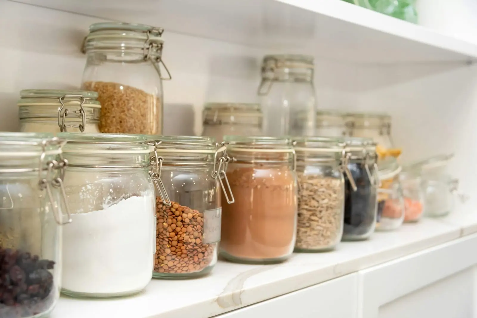 Pantry Moths: How to Protect Your Kitchen Food Stocks