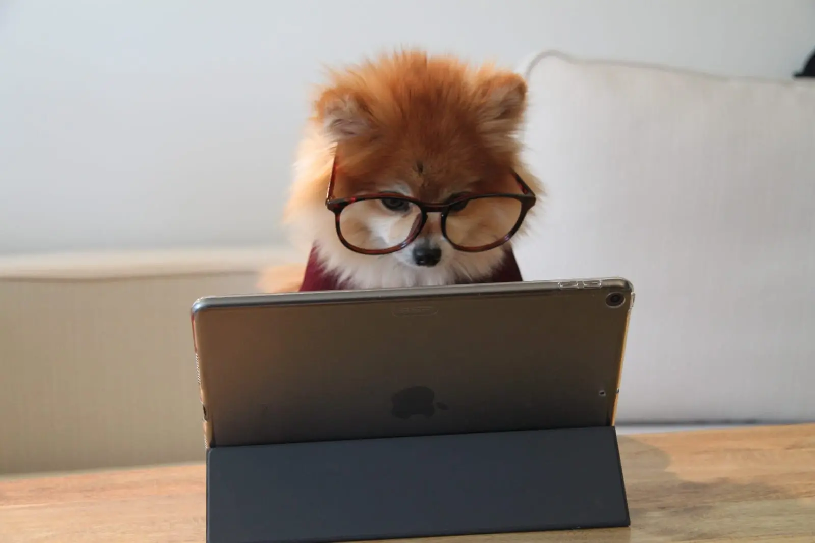 Coding for Kids: How to Encourage Your Child's Tech Skills