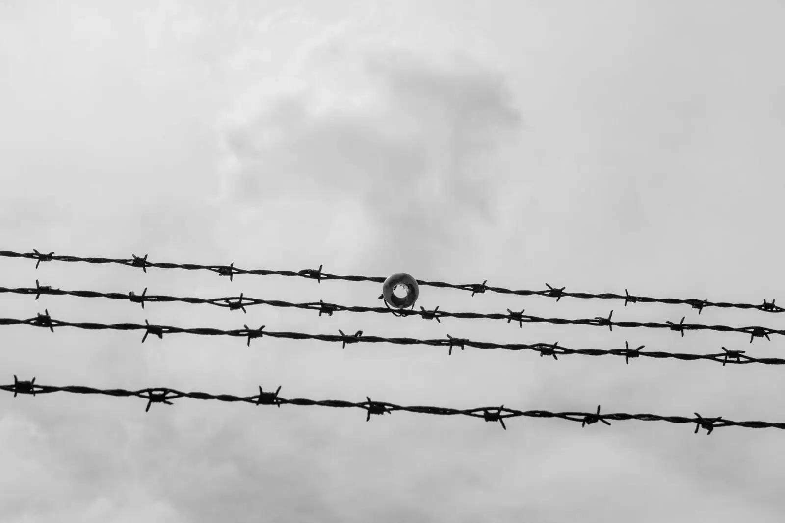 Executive Order 9066: The Japanese American Internment