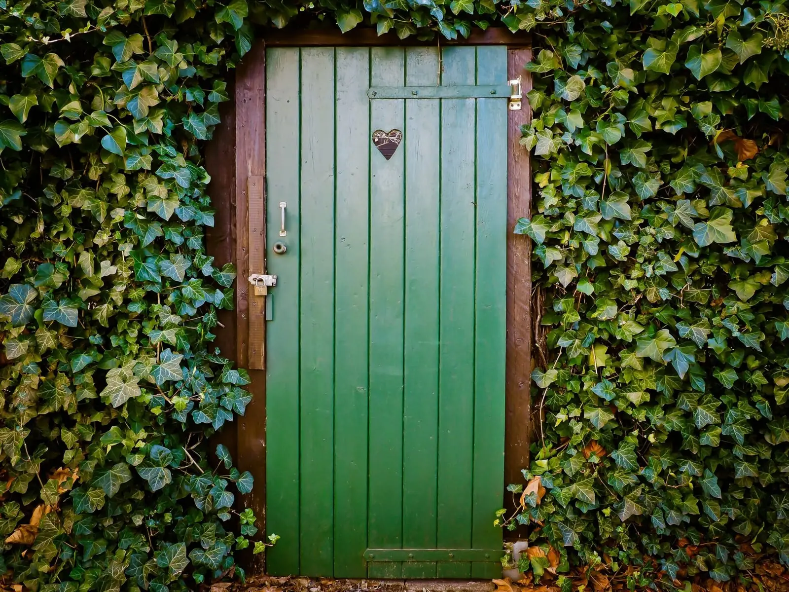 Who Invented the Flush Toilet? The History of Toilets & Wiping