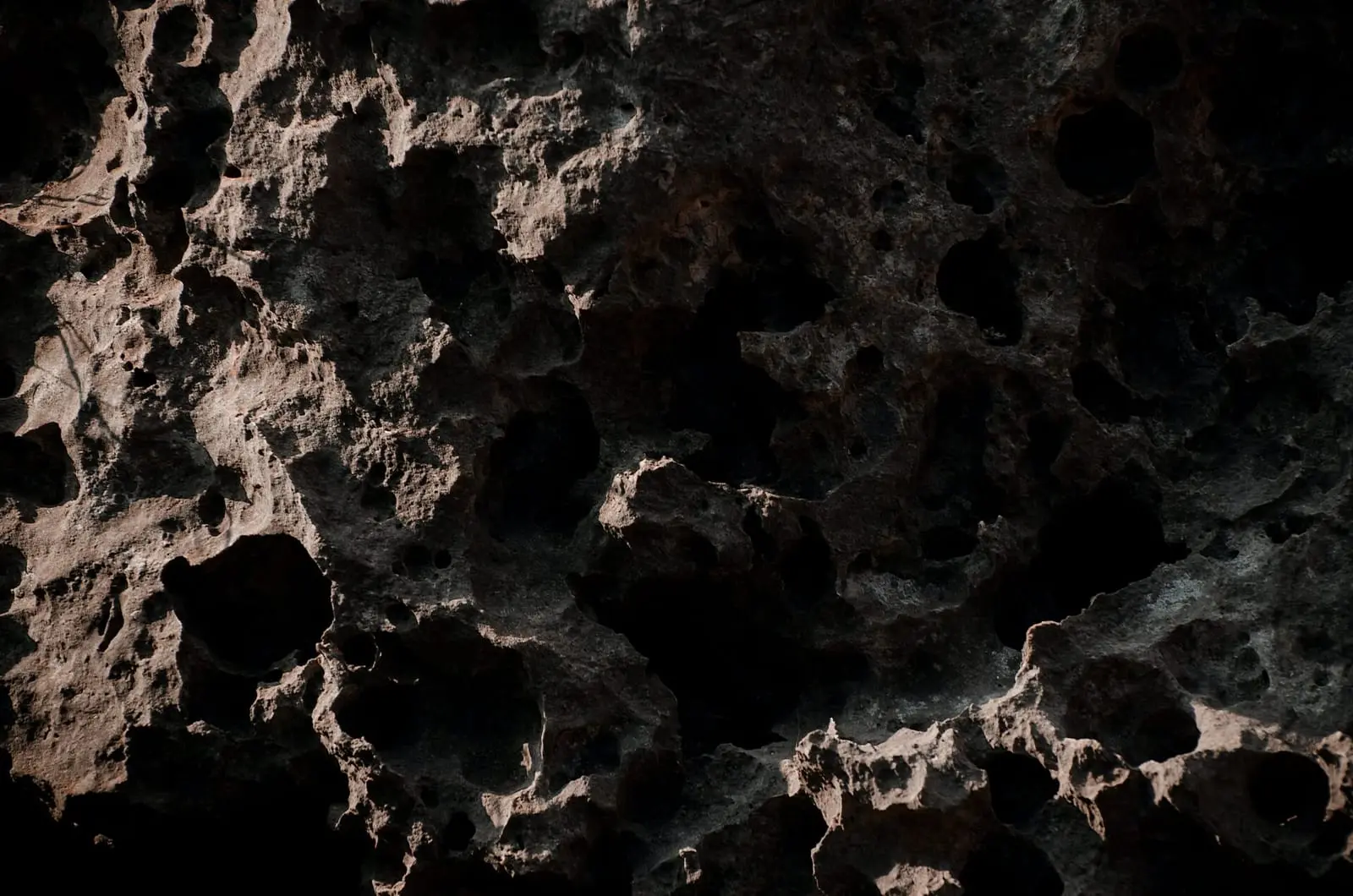 Chances of an Asteroid Hitting Earth: Can It Destroy Us?