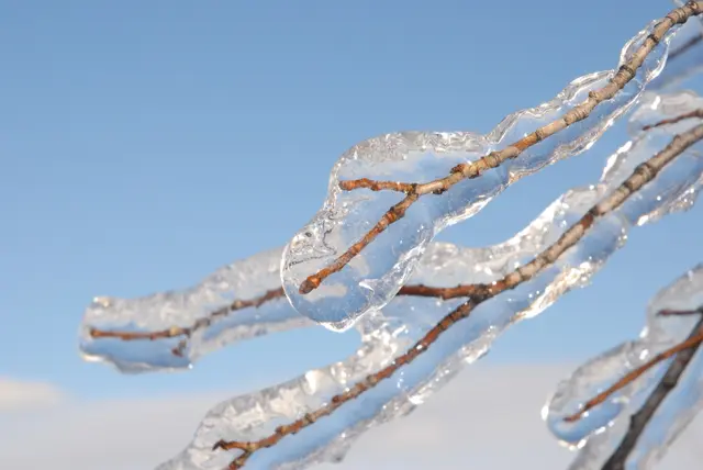 Freezing rain vs. sleet vs. snow vs. ice storm