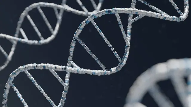 Y Chromosome Disappearing: Will Men Go Extinct?