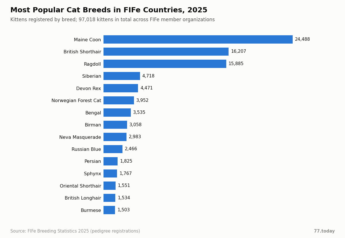 Bar chart: the 15 most popular cat breeds by 2025 FIFe registrations – Maine Coon, British Shorthair, Ragdoll, Siberian, Devon Rex and others