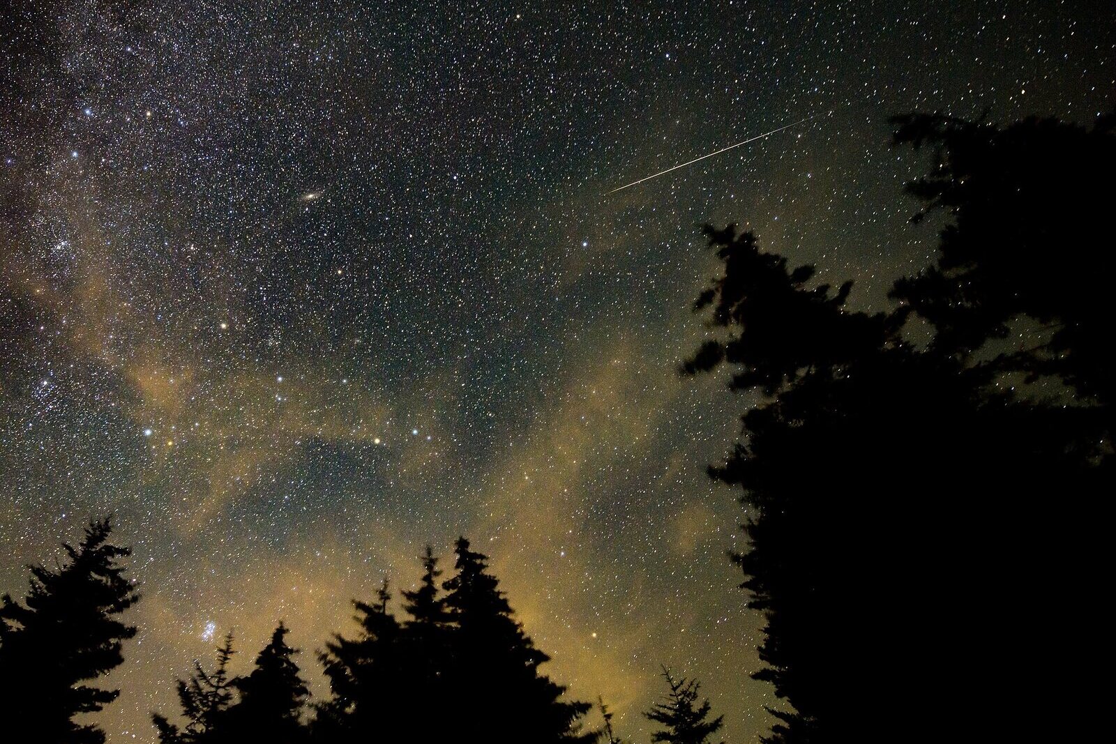 Meteors streaking across a starry night sky