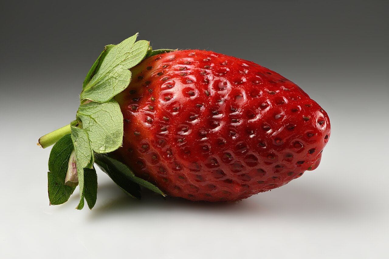 A ripe red garden strawberry with green sepals