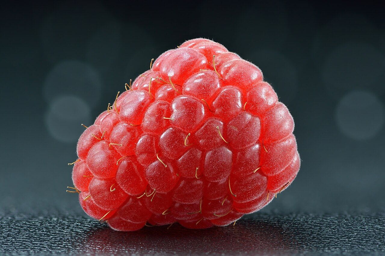 Close-up of a ripe red raspberry, showing the small individual drupelets