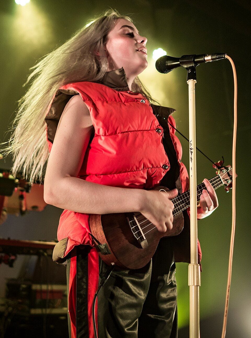 Billie Eilish in concert in Los Angeles in 2017