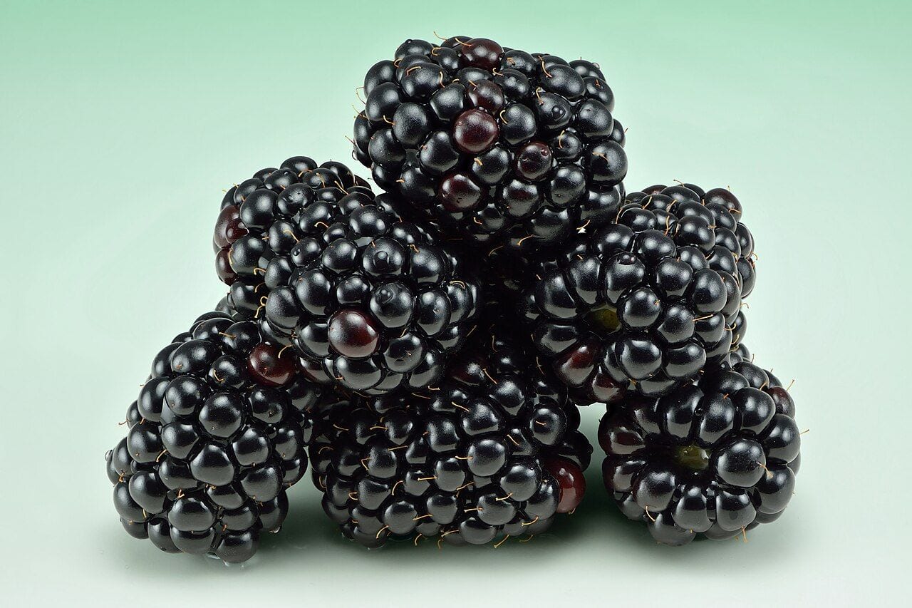 Several ripe black shiny blackberries on a light background