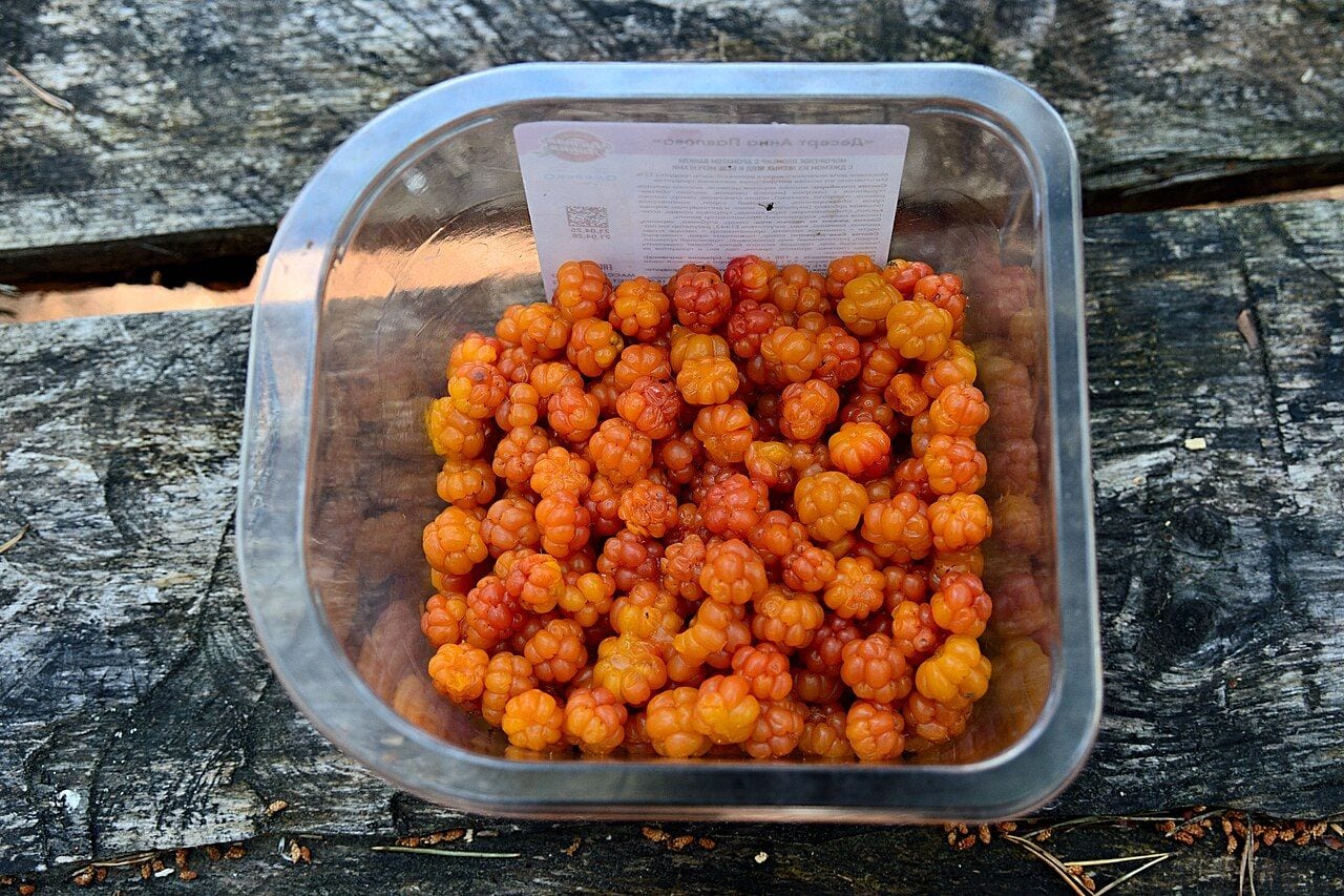 A small box full of freshly picked orange cloudberries