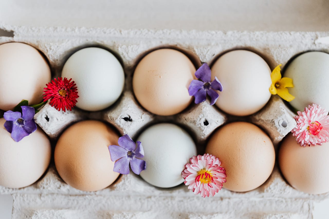 Eggs